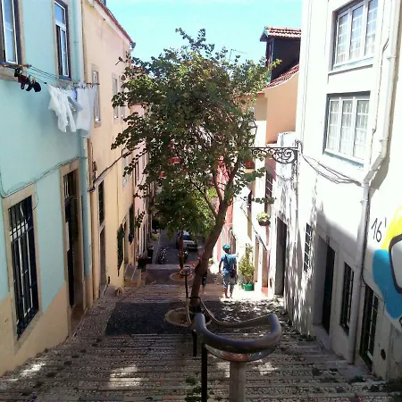 Comfy @ Chiado *